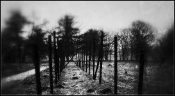 Westerbork